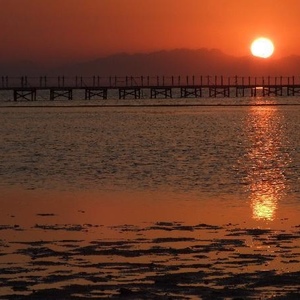 Profile Picture of Rc James (@144801533) on Myspace