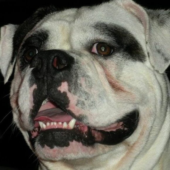 Profile Picture of Victor Malabe (@vmal1099) on Poshmark