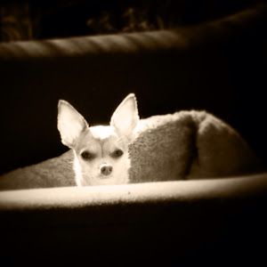 Profile Picture of Michael Sandow (@michael.sandow) on Tiktok