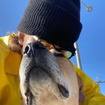 Justin Boisvert - Instagram Profile Picture of Justin Boisvert (@itsjustinsane) on Instagram