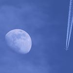 Profile Picture of Laura // Ploy Kim 🌸✨ (@chi_uwu_chii) on Instagram