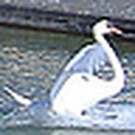 Profile Picture of Alexis.bannerman (@alexis.bannerman) on Flickr