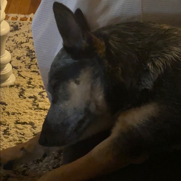 Profile Picture of Kyle Callahan (@kcal18) on Poshmark