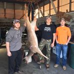 Profile Picture of Jonathan Cavender (@jonathan.cavender.125) on Facebook