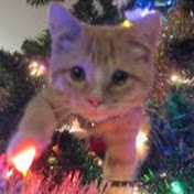 Profile Picture of Alex Tong (@alex_tong) on Youtube