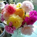 Profile Picture of john Morrison (@dicksonjohn45555) on Instagram