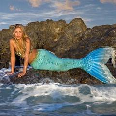 Profile Picture of Lori Haase (@lorihaase1) on Twitter