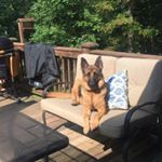 Profile Picture of Jacob Brunson (@jakebruns42) on Instagram