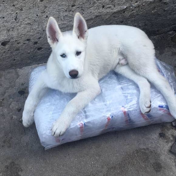 Profile Picture of Lupe Luna (@lunaf129) on Poshmark