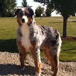 Chad Dickey - Instagram Profile Picture of Chad Dickey (@chad.dickey.14) on Instagram