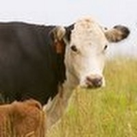 Profile Picture of Brian Darsow (@brian-darsow) on Quora