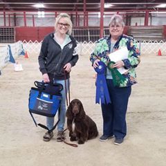 Profile Picture of Gabby Murdock (@gabbymurdock) on Tiktok