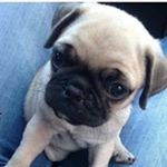 Profile Picture of Rosalva Cabrera (@rcabrera829) on Instagram