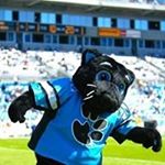 Profile Picture of Peggy Chase-Morrison (@peggychasemorrison) on Instagram