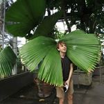 Profile Picture of Colin Dunbar (@colinderr) on Instagram