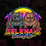 Profile Picture of Richard kujawski (@selenas_bullies) on Instagram