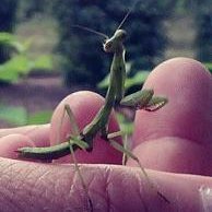 Profile Picture of Randall D. Donathan (@randall.donathan) on Myspace