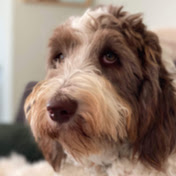 Profile Picture of Jeff Lowell (@pepce007) on Youtube