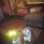 Profile Picture of Walter Cornell (@walter.cornell.12) on Facebook