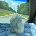 Profile Picture of Tammy Timson Hajek (@tammy.t.hajek) on Facebook