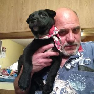 Profile Picture of Karl B Gunn (@KarlBGunn1) on Twitter