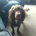 Profile Picture of Coca Paul (@coca.paul.58) on Facebook
