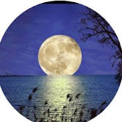 Profile Picture of Kim Moon (@kymms41) on Youtube