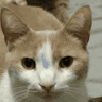 Profile Picture of Jason Bone (@jason-bone-27) on Quora