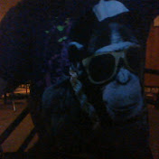 Profile Picture of Steven Dudley (@stevendudley5293) on Youtube