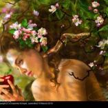 Profile Picture of De Anna Holloway (@dholloway001) on Pinterest