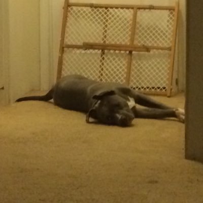 Profile Picture of Haley Briscoe (@BriscoeHaley) on Twitter