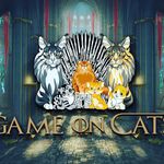 Profile Picture of Chris and Sherrie McCarthy (@gameoncats) on Instagram