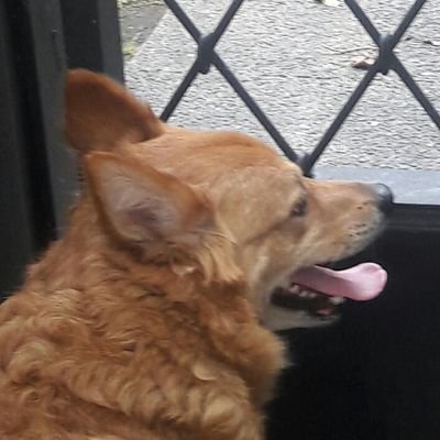Profile Picture of Barmi (@HidalgoMauro) on Twitter