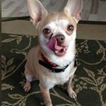 Profile Picture of Calvin (@calvin_philpot13) on Instagram