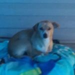 Profile Picture of james wade (@darlanderson798) on Instagram