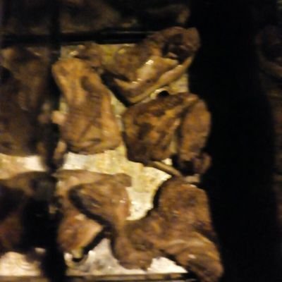 Profile Picture of Bryan Willer OR..! (@@bryan_rody) on Twitter