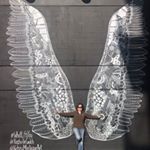 Tracy Kearns - Instagram Profile Picture of Tracy Kearns (@kearnsie3) on Instagram