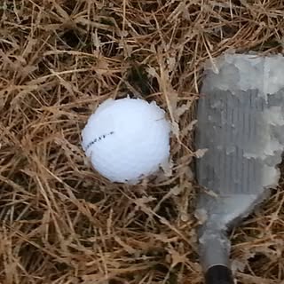 Profile Picture of Shawn McLeod (@mcleodshawn) on Instagram