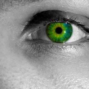 Profile Picture of Chris Rourk (@crisco5215) on Myspace