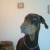 Profile Picture of Ken Shrum (@ken.shrum.984) on Facebook