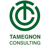 Tamegnon - Consulting - Youtube Profile Picture of Tamegnon - Consulting (@tamegnon-consulting2186) on Youtube