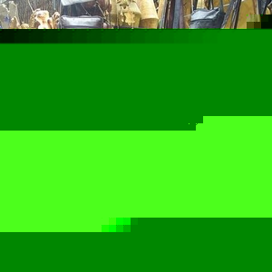 Profile Picture of Grady Lichter (@grady306) on Myspace