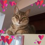 Profile Picture of Beverly Hagen (@beverly.hagen.3) on Facebook