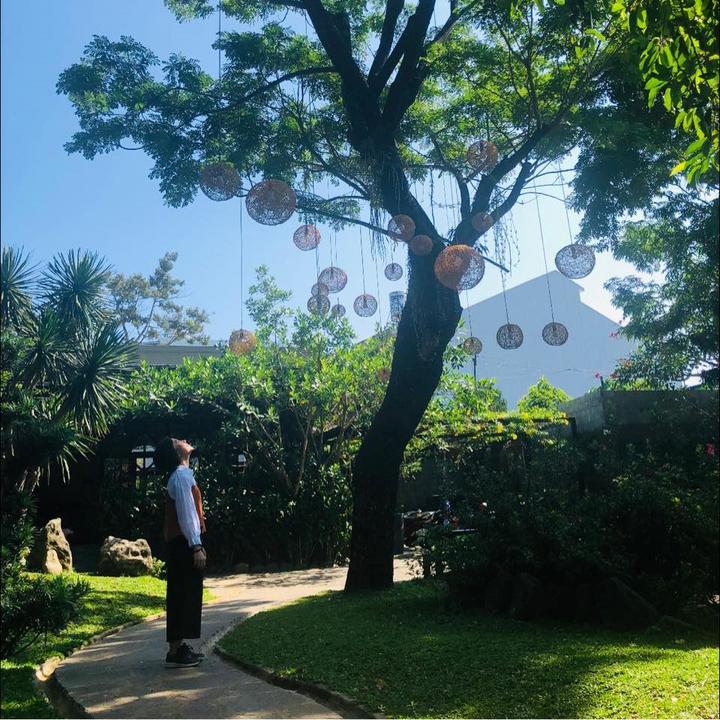 Profile Picture of Willia Halsell (@williahalsell658) on Tiktok