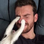 Profile Picture of Kevin Haney (@kevinhaney) on Instagram