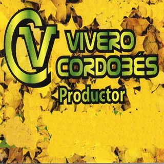 Profile Picture of Daniel Diflorio (@daniel.diflorio.7) on Facebook