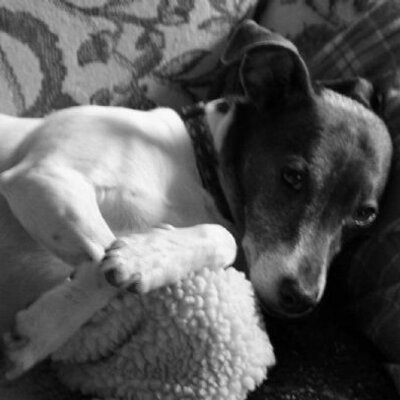 Profile Picture of Mary Howland (@Maryal22) on Twitter