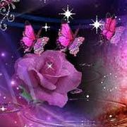 Profile Picture of marcie skinner (@marcieskinner) on Pinterest