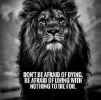 Carlos Talavera - Facebook Profile Picture of Carlos Talavera (@Carlos-Talavera) on Facebook