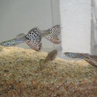 Profile Picture of Craig Winans (@craig-winans-5) on Quora